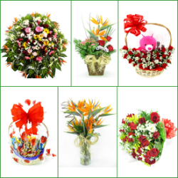 FLORICULTURAS Mariana, cestas de café da manhã e coroas de flores MG